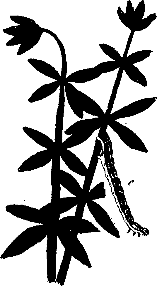 114/114760250002080_0.png