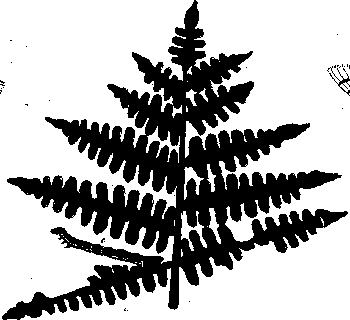 114/114760250002090_0.png