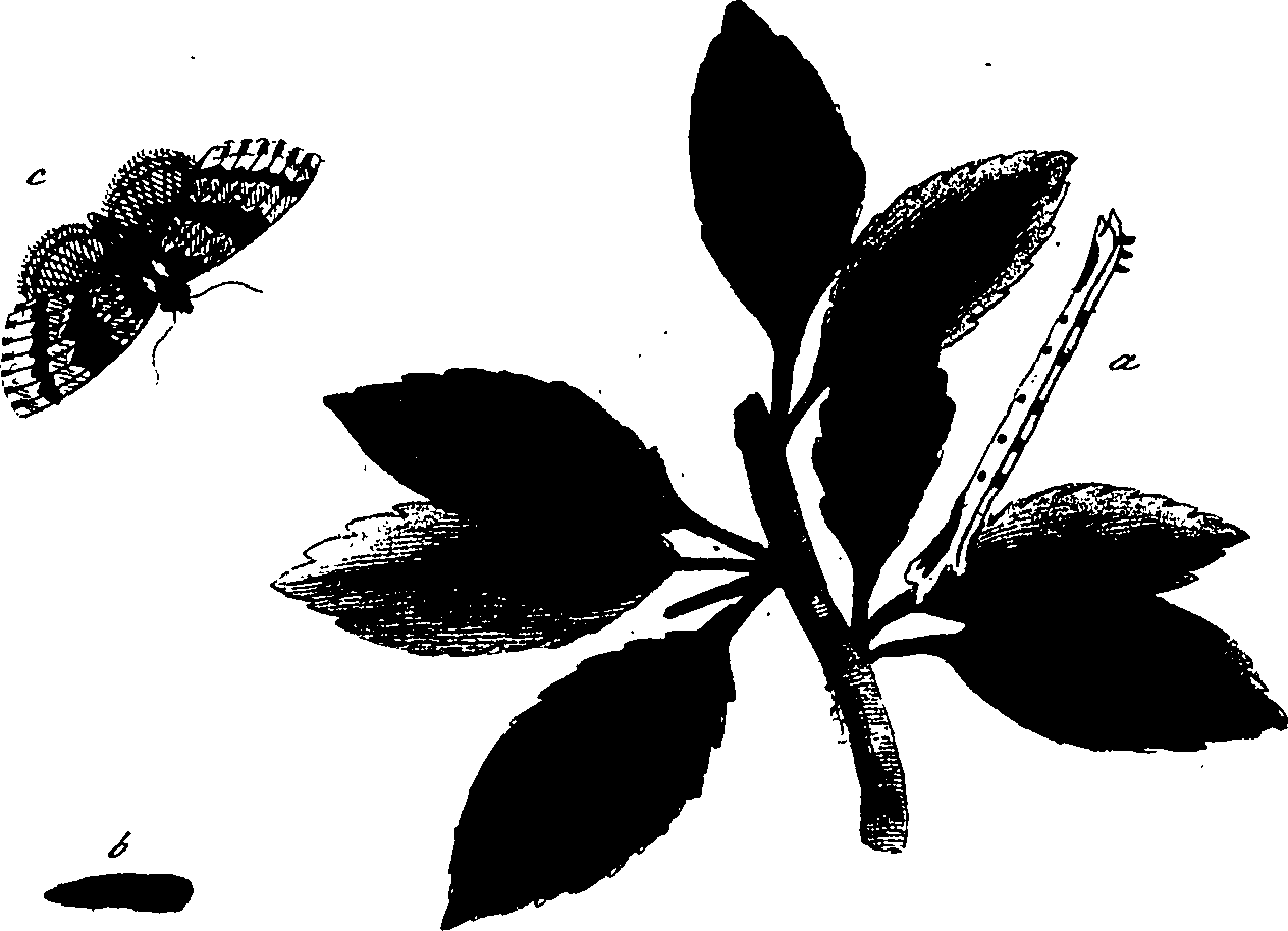 114/114760250002090_1.png