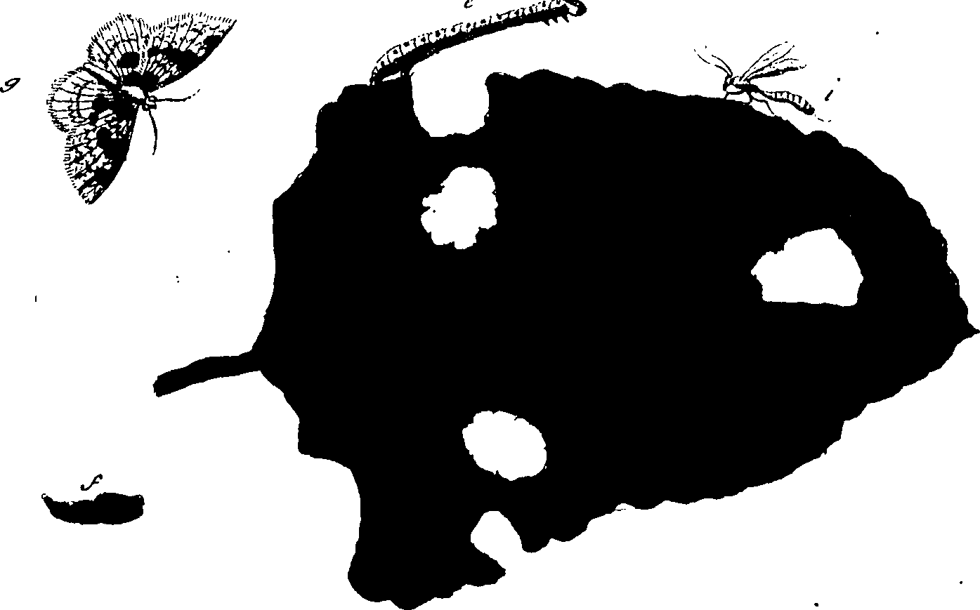 114/114760250002120_0.png