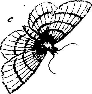 114/114760250002120_1.png