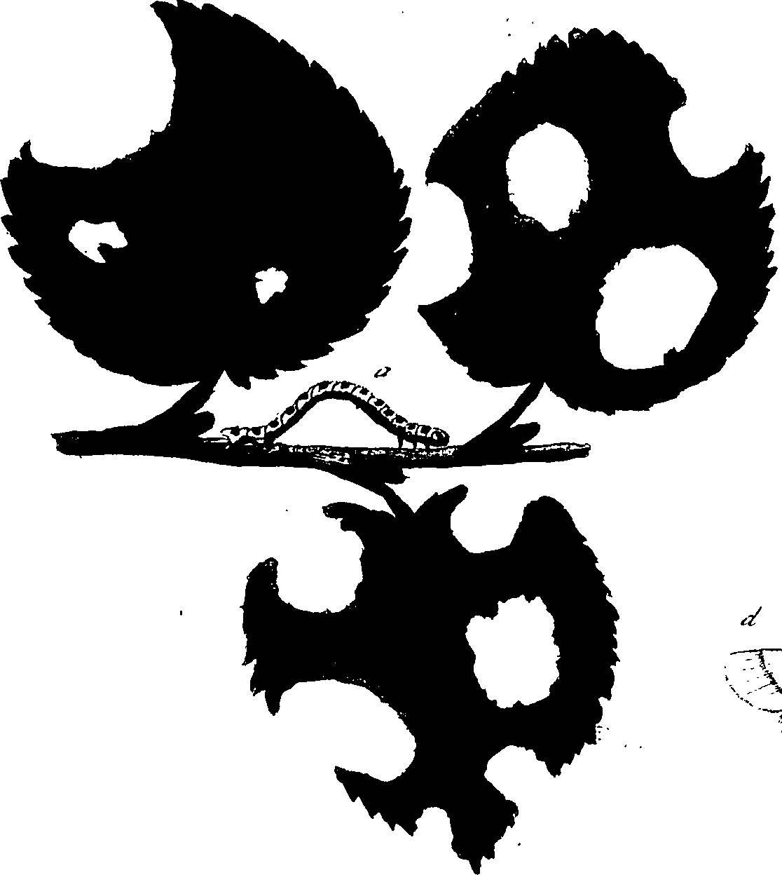 114/114760250002120_2.png