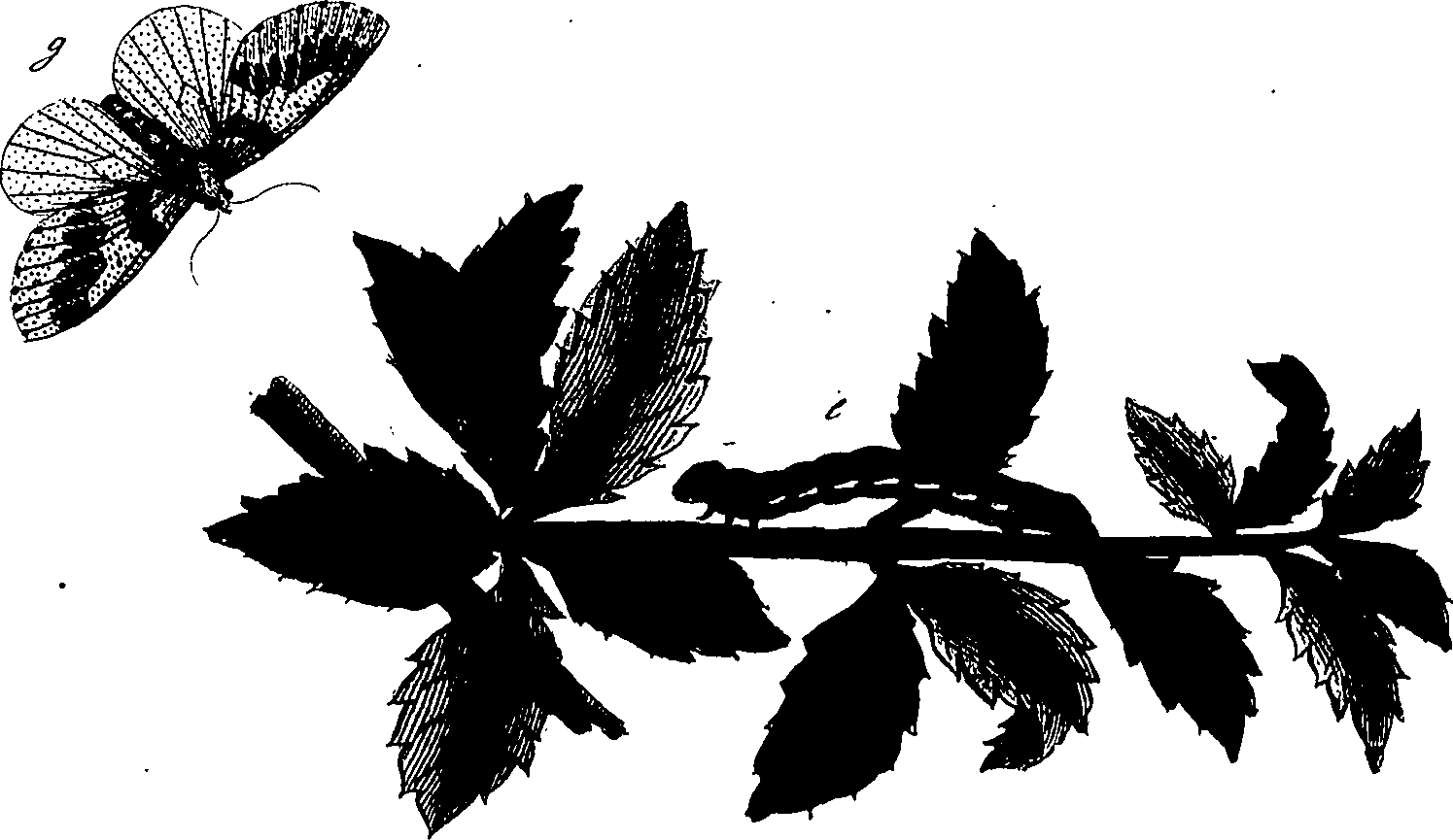 114/114760250002130_0.png