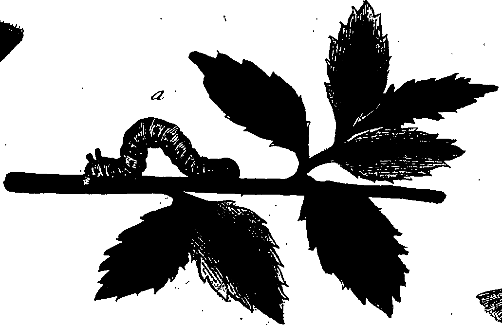 114/114760250002130_1.png