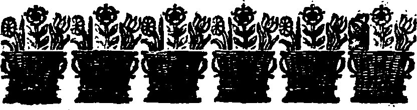 114/114910040002990_0.png