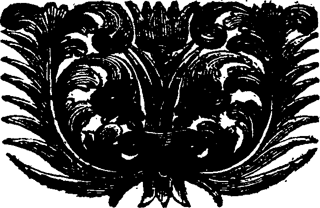 114/114910040003150_0.png