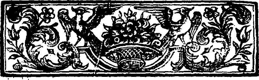 114/114910040003770_0.png