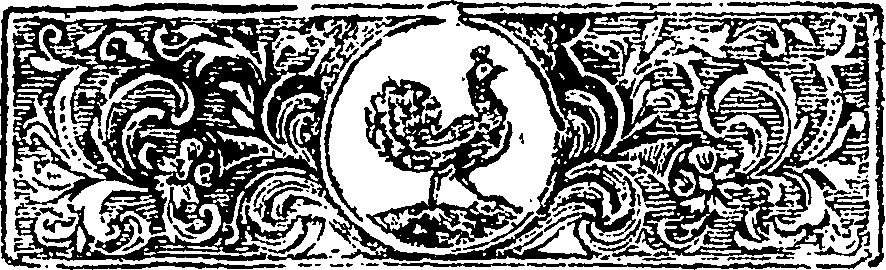 114/114940020000030_2.png