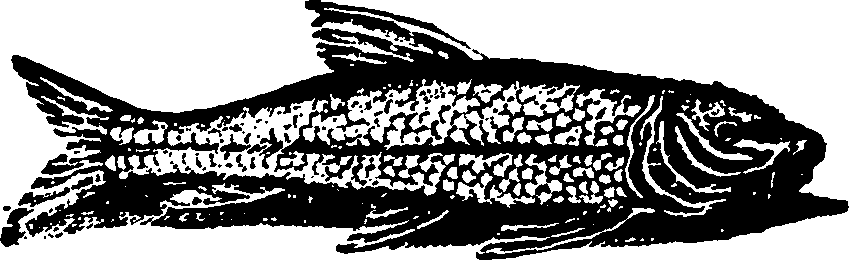 114/114960020000280_0.png