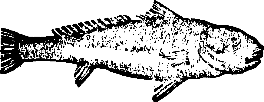 114/114960020000300_0.png