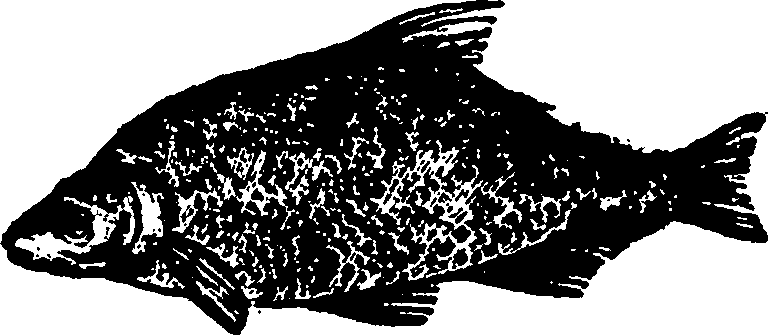 114/114960020000330_0.png