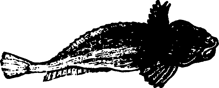 114/114960020000350_0.png