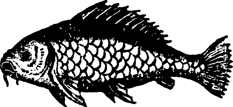 114/114960020000360_0.png