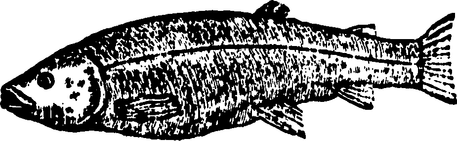 114/114960020000400_0.png