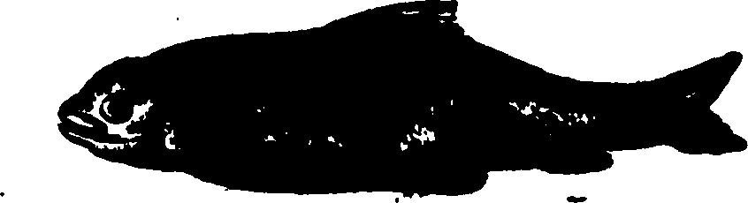 114/114960020000430_0.png