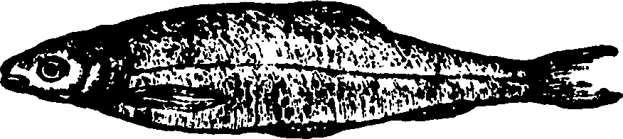 114/114960020000480_0.png