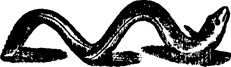 114/114960020000500_0.png