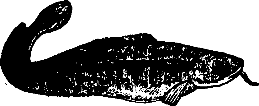 114/114960020000560_0.png