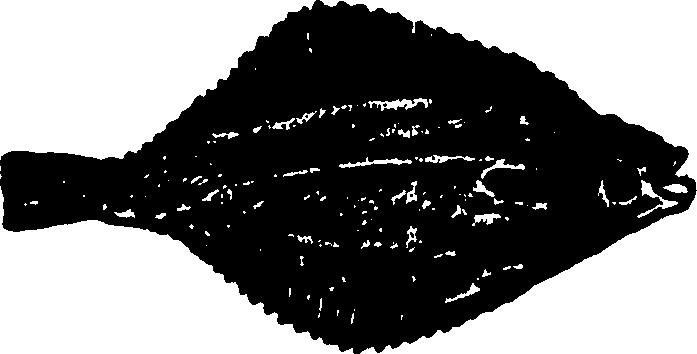 114/114960020000890_0.png