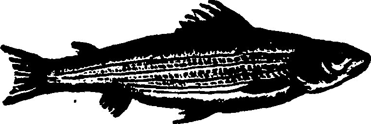 114/114960020000930_0.png