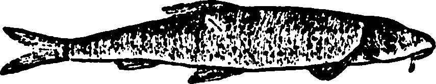 114/114960020000960_0.png