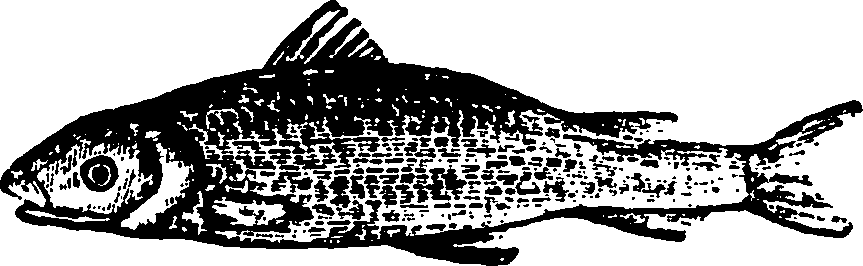 114/114960020000980_0.png
