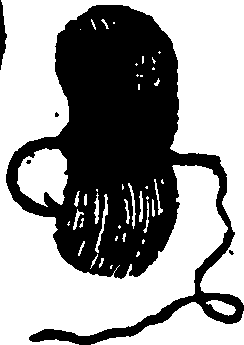 114/114960020000990_0.png
