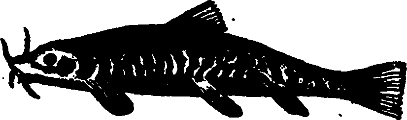 114/114960020001150_0.png