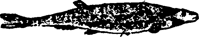 114/114960020001180_0.png