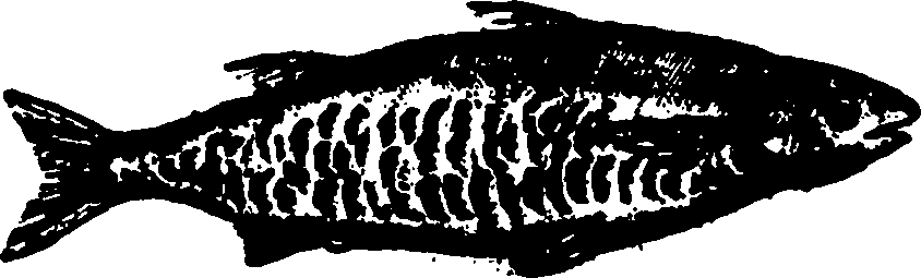 114/114960020001190_0.png