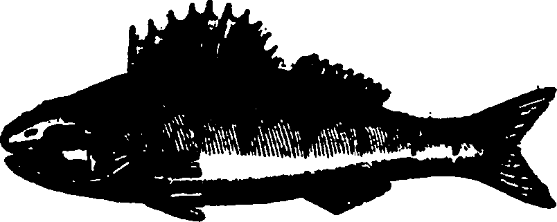 114/114960020001280_0.png