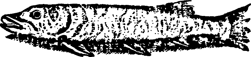 114/114960020001310_0.png