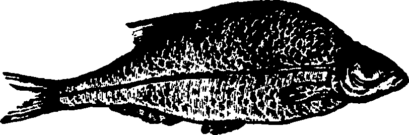 114/114960020001400_0.png