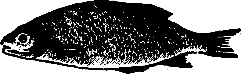 114/114960020001430_0.png