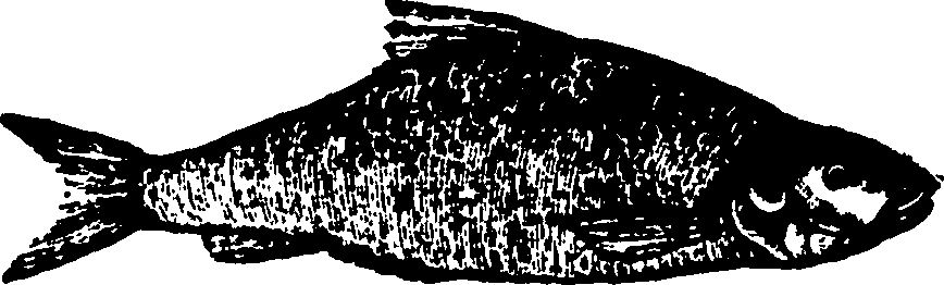114/114960020001490_0.png
