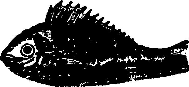 114/114960020001500_0.png