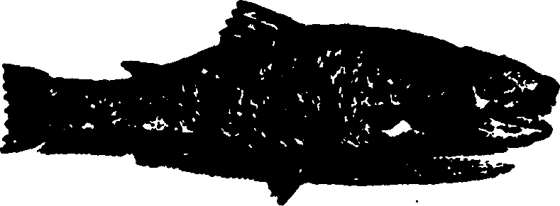 114/114960020001550_0.png