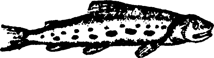 114/114960020001630_0.png