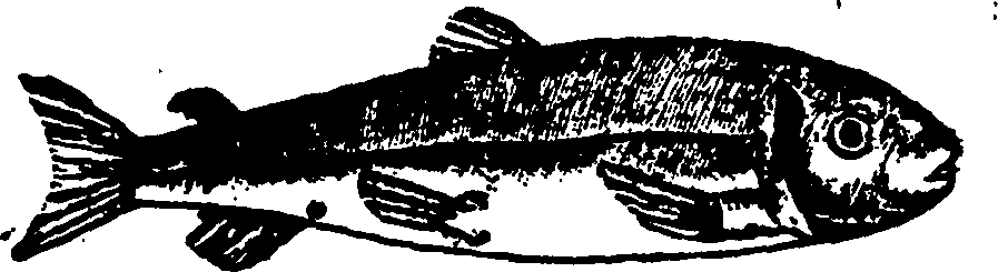 114/114960020001650_0.png