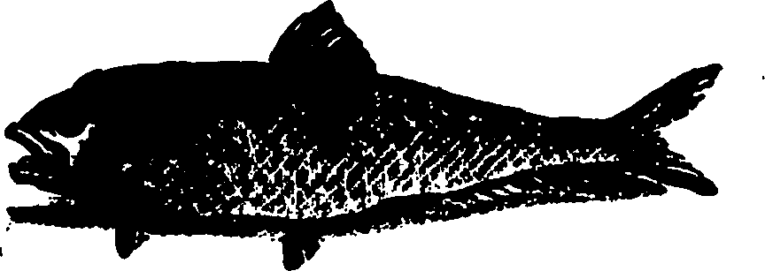 114/114960020001660_0.png