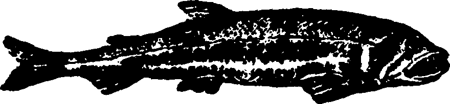 114/114960020001670_0.png