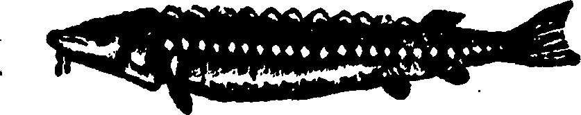 114/114960020001690_0.png