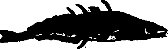 114/114960020001690_1.png