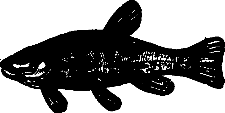 114/114960020001720_0.png