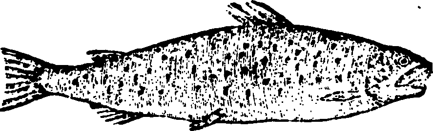 114/114960020001820_0.png