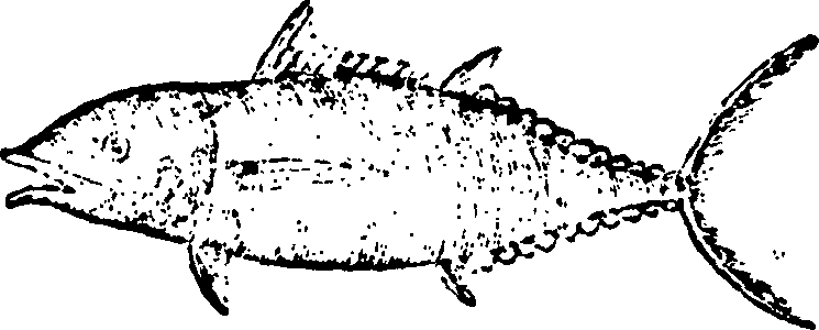 114/114960020001910_0.png