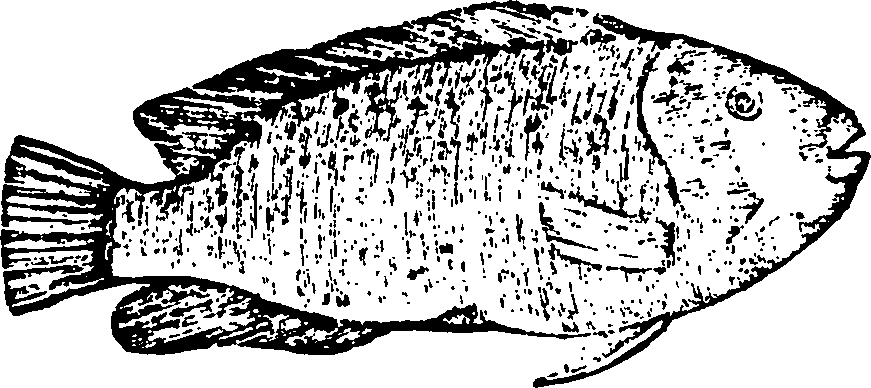 114/114960020001920_0.png