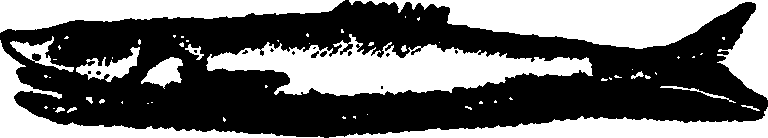 114/114960020001930_0.png