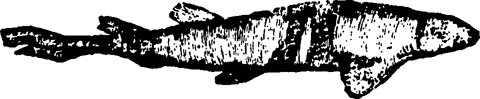 114/114960020001940_0.png