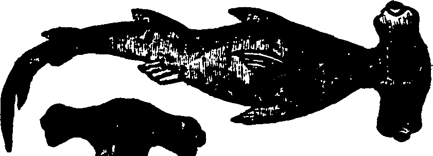 114/114960020001940_1.png